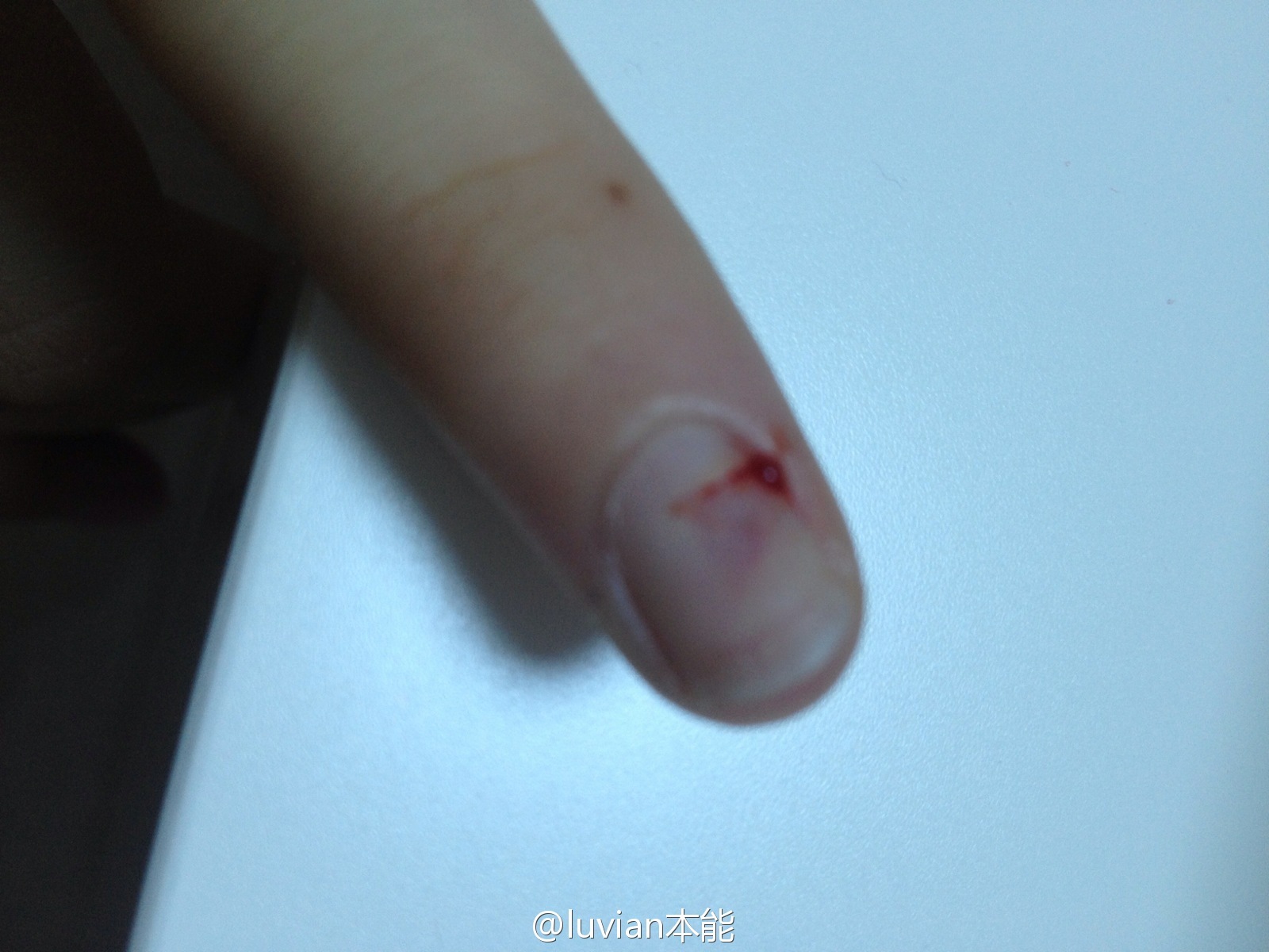 秀人美媛馆女郎luvian本能 微博相册集锦